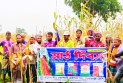 হাইব্রিড ভুট্টার মাঠ দিবস